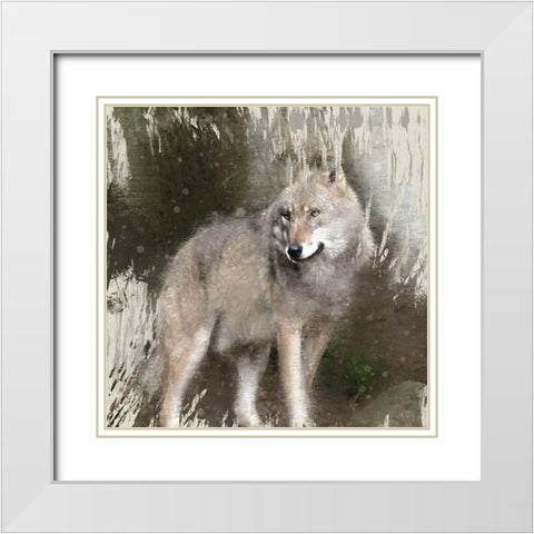 Wildlife 3 White Modern Wood Framed Art Print with Double Matting by Allen, Kimberly