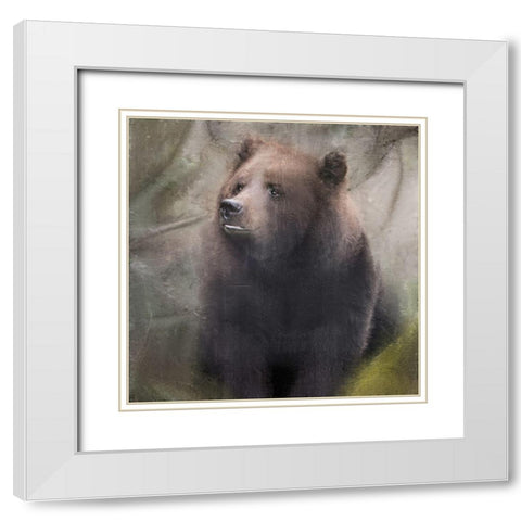 In the Forest White Modern Wood Framed Art Print with Double Matting by Allen, Kimberly
