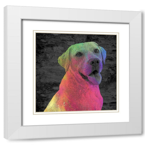 Lab White Modern Wood Framed Art Print with Double Matting by Allen, Kimberly