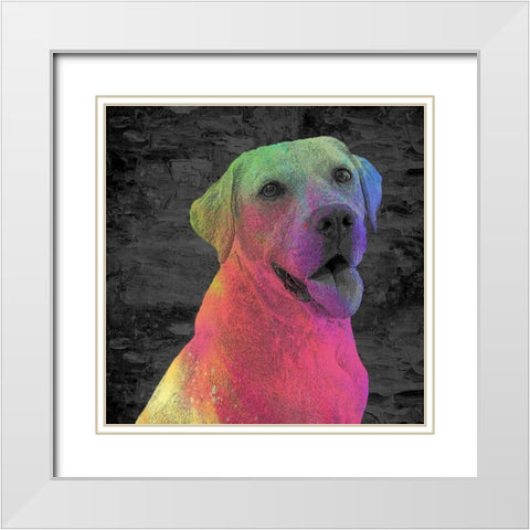 Lab White Modern Wood Framed Art Print with Double Matting by Allen, Kimberly