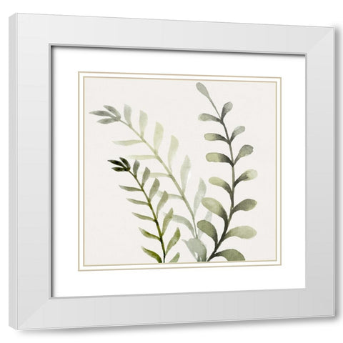 Watercolor Sage 1 White Modern Wood Framed Art Print with Double Matting by Allen, Kimberly