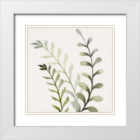 Watercolor Sage 1 White Modern Wood Framed Art Print with Double Matting by Allen, Kimberly