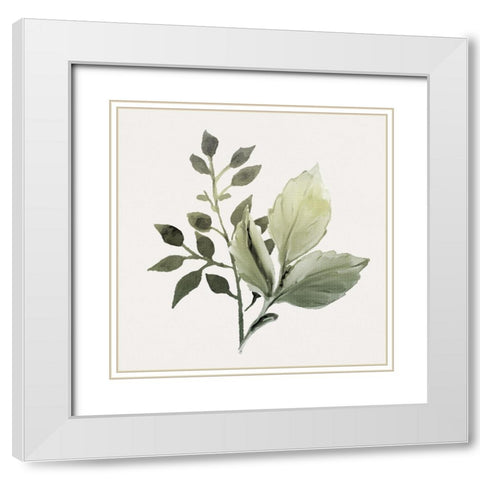 Watercolor Sage 2 White Modern Wood Framed Art Print with Double Matting by Allen, Kimberly