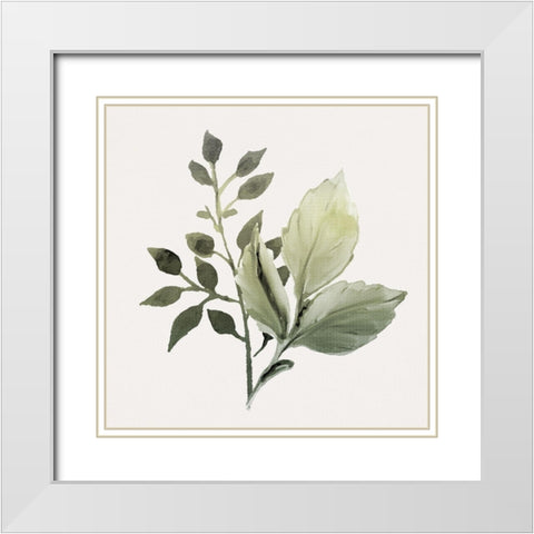 Watercolor Sage 2 White Modern Wood Framed Art Print with Double Matting by Allen, Kimberly