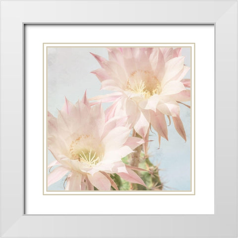 Cactus Bloom White Modern Wood Framed Art Print with Double Matting by Allen, Kimberly