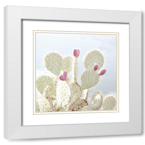 Cactus Blossom White Modern Wood Framed Art Print with Double Matting by Allen, Kimberly