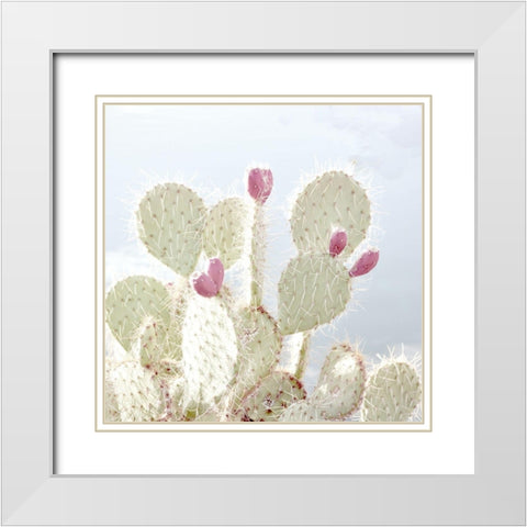Cactus Blossom White Modern Wood Framed Art Print with Double Matting by Allen, Kimberly