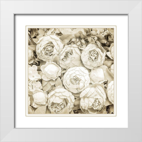 Dried Roses White Modern Wood Framed Art Print with Double Matting by Allen, Kimberly