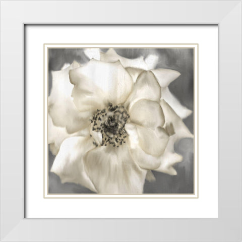 Golden Rose White Modern Wood Framed Art Print with Double Matting by Allen, Kimberly