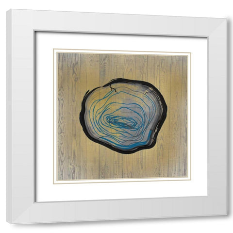 Country Minerals 1 White Modern Wood Framed Art Print with Double Matting by Allen, Kimberly