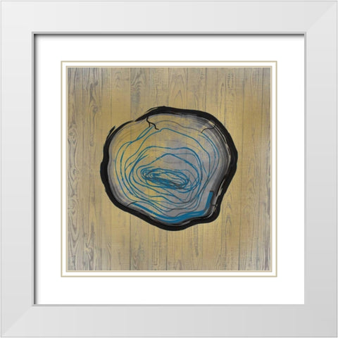 Country Minerals 1 White Modern Wood Framed Art Print with Double Matting by Allen, Kimberly