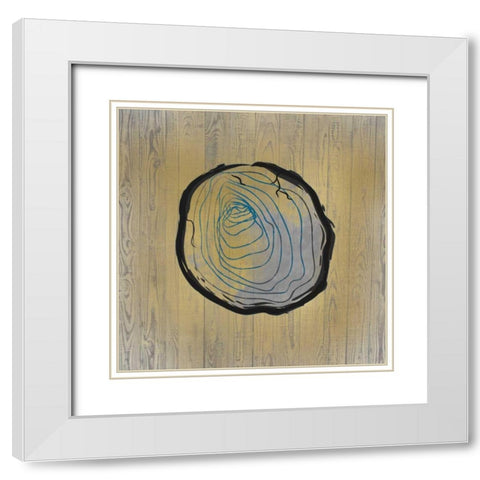 Country Minerals 2 White Modern Wood Framed Art Print with Double Matting by Allen, Kimberly