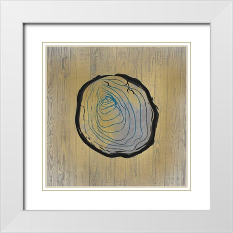 Country Minerals 2 White Modern Wood Framed Art Print with Double Matting by Allen, Kimberly