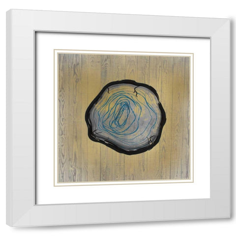 Country Minerals 3 White Modern Wood Framed Art Print with Double Matting by Allen, Kimberly