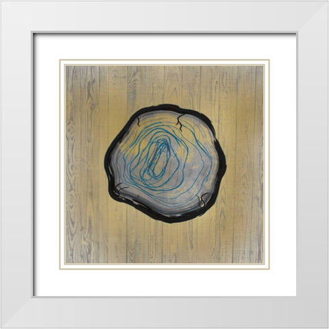 Country Minerals 3 White Modern Wood Framed Art Print with Double Matting by Allen, Kimberly