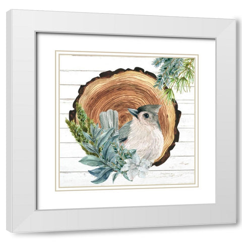 Winter Birds 1 White Modern Wood Framed Art Print with Double Matting by Allen, Kimberly