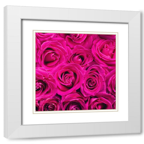 Paris Rose 3 White Modern Wood Framed Art Print with Double Matting by Allen, Kimberly