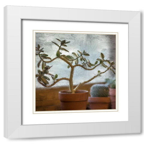 Window Planting White Modern Wood Framed Art Print with Double Matting by Allen, Kimberly