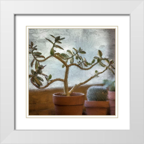 Window Planting White Modern Wood Framed Art Print with Double Matting by Allen, Kimberly