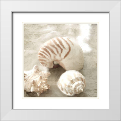 In the Sand White Modern Wood Framed Art Print with Double Matting by Allen, Kimberly