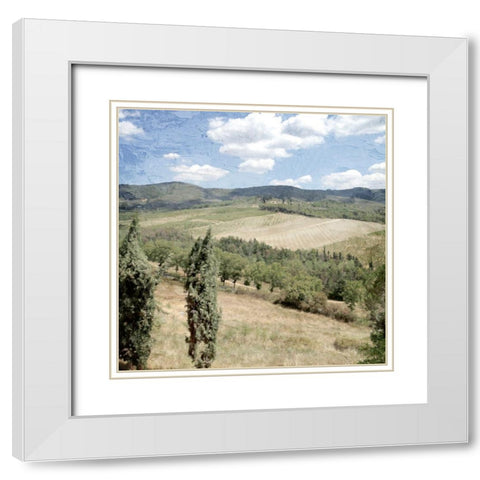Tuscan Field White Modern Wood Framed Art Print with Double Matting by Allen, Kimberly