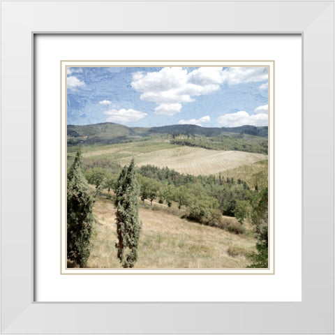Tuscan Field White Modern Wood Framed Art Print with Double Matting by Allen, Kimberly