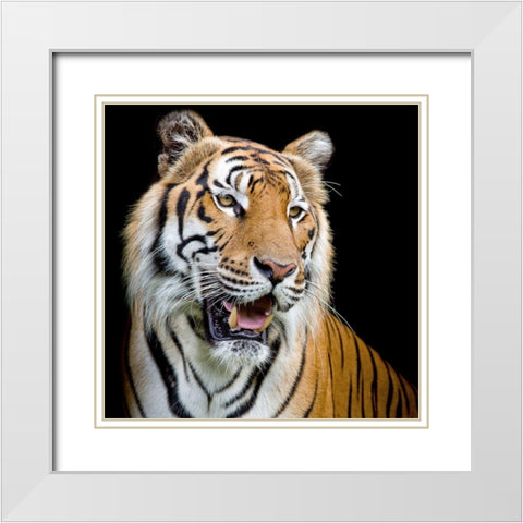 Do Not Fear 1 White Modern Wood Framed Art Print with Double Matting by Allen, Kimberly
