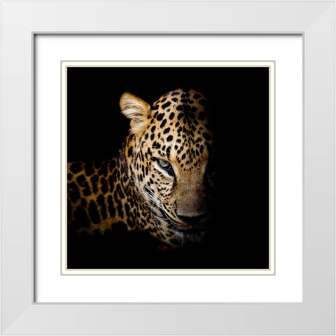 Faith Leopard 1 White Modern Wood Framed Art Print with Double Matting by Allen, Kimberly
