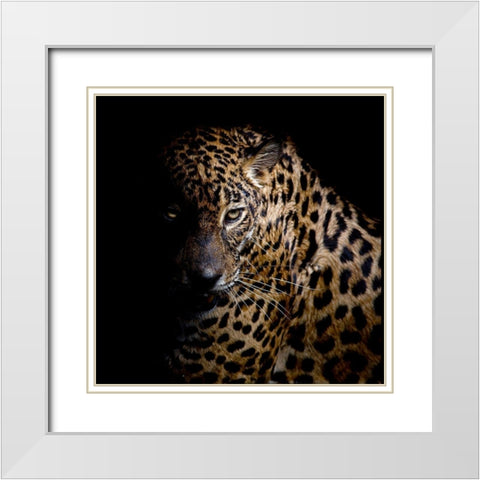 Faith Leopard 3 White Modern Wood Framed Art Print with Double Matting by Allen, Kimberly
