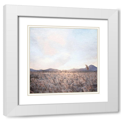 Field White Modern Wood Framed Art Print with Double Matting by Allen, Kimberly
