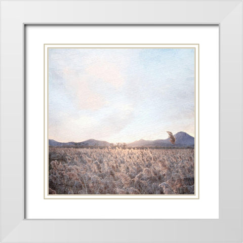 Field White Modern Wood Framed Art Print with Double Matting by Allen, Kimberly