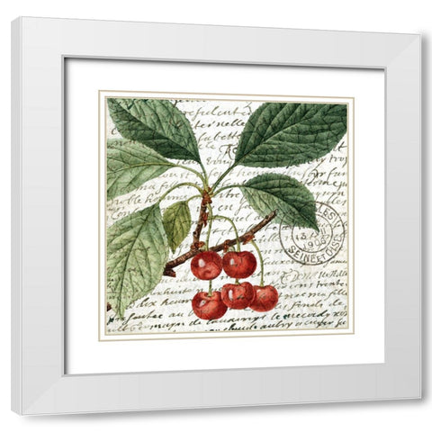 Fruit Picking 1 White Modern Wood Framed Art Print with Double Matting by Allen, Kimberly