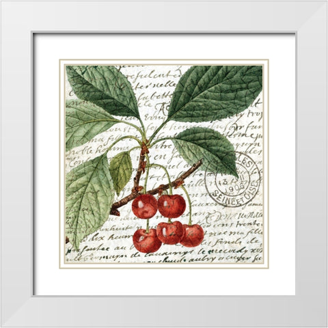 Fruit Picking 1 White Modern Wood Framed Art Print with Double Matting by Allen, Kimberly