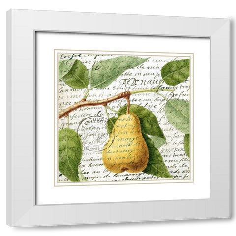 Fruit Picking 2 White Modern Wood Framed Art Print with Double Matting by Allen, Kimberly
