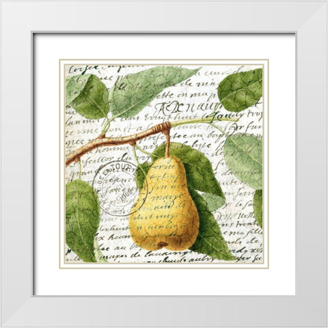 Fruit Picking 2 White Modern Wood Framed Art Print with Double Matting by Allen, Kimberly