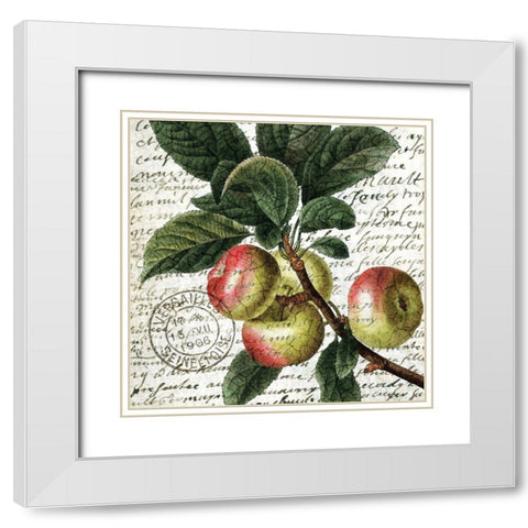 Fruit Picking 3 White Modern Wood Framed Art Print with Double Matting by Allen, Kimberly