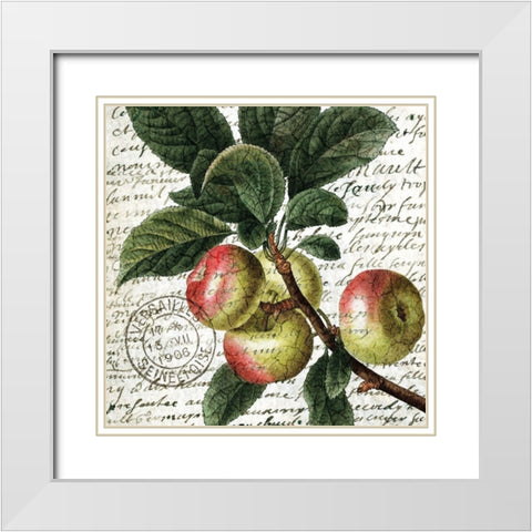 Fruit Picking 3 White Modern Wood Framed Art Print with Double Matting by Allen, Kimberly