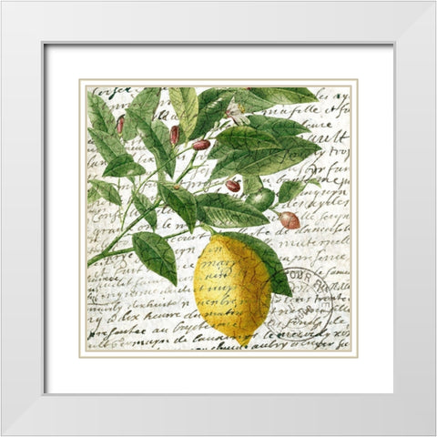 Fruit Picking 4 White Modern Wood Framed Art Print with Double Matting by Allen, Kimberly