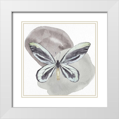 Watercolor Butterfly 2 White Modern Wood Framed Art Print with Double Matting by Allen, Kimberly