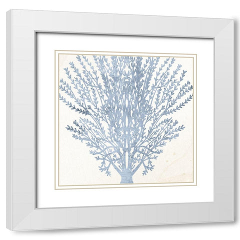 Coral Days 2 White Modern Wood Framed Art Print with Double Matting by Allen, Kimberly