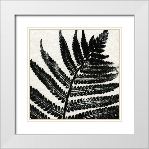 Pressed Fern 1 White Modern Wood Framed Art Print with Double Matting by Allen, Kimberly