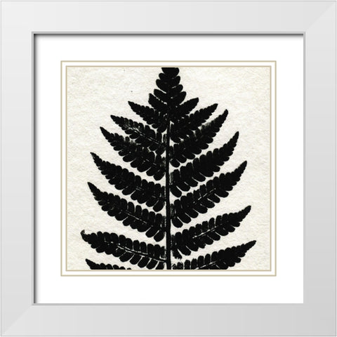 Pressed Fern 2 White Modern Wood Framed Art Print with Double Matting by Allen, Kimberly