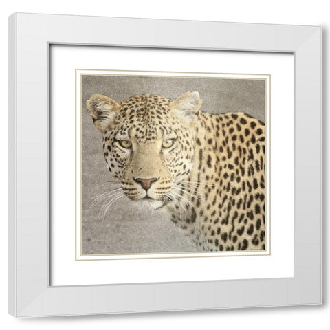 God Is Our Refuge Leopard v2 White Modern Wood Framed Art Print with Double Matting by Allen, Kimberly
