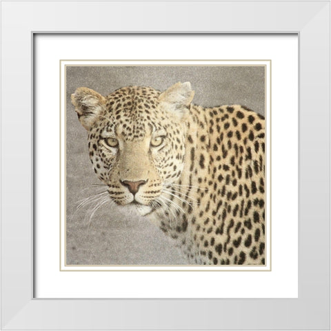 God Is Our Refuge Leopard v2 White Modern Wood Framed Art Print with Double Matting by Allen, Kimberly