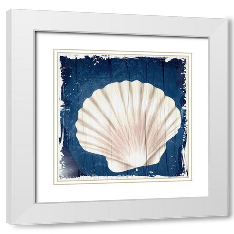 Coastal Shells 2 White Modern Wood Framed Art Print with Double Matting by Allen, Kimberly