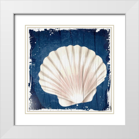 Coastal Shells 2 White Modern Wood Framed Art Print with Double Matting by Allen, Kimberly