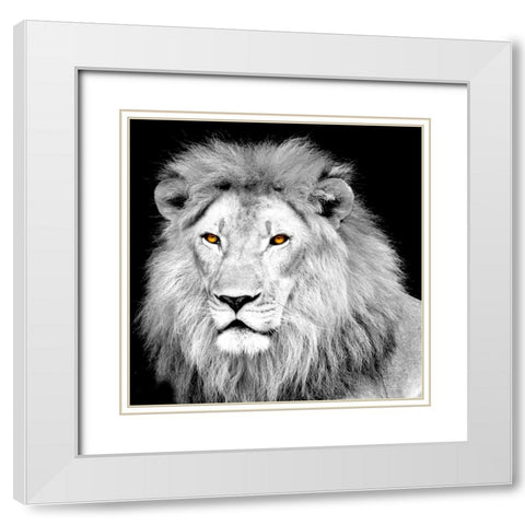 King White Modern Wood Framed Art Print with Double Matting by Allen, Kimberly