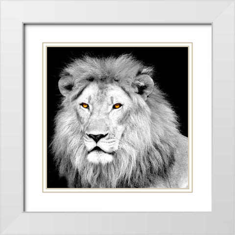 King White Modern Wood Framed Art Print with Double Matting by Allen, Kimberly