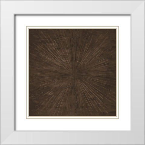 Sun Light 1 Brown White Modern Wood Framed Art Print with Double Matting by Allen, Kimberly