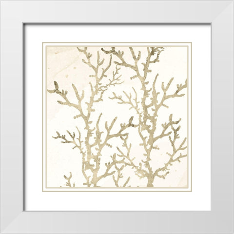 Sand Coral 1 White Modern Wood Framed Art Print with Double Matting by Allen, Kimberly